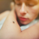 HeltiQ Insecten - muggen